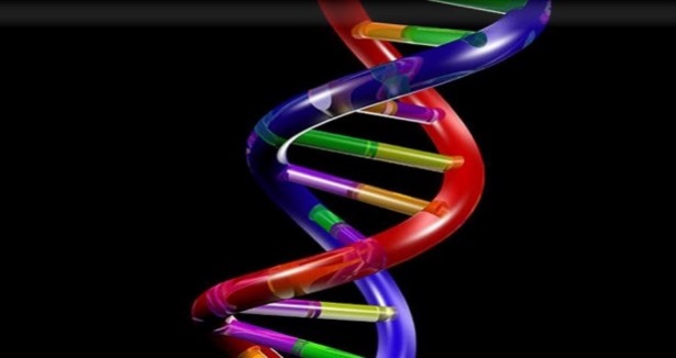 Kansere karşı 'DNA onarımı' buluşu