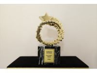 SEDAŞ, Mükemmel Müşteri Memnuniyeti Başarı Ödülleri'nde "Gold" ödülünü kazandı