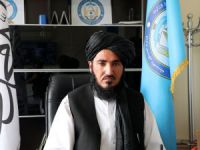 Taliban'a göre Afganistan'da 4 bin hektar haşhaş tarlası yok edildi