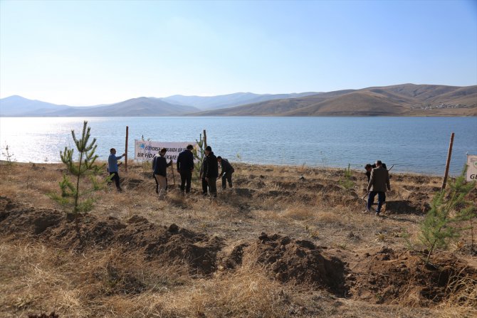 Demirözü Barajı çevresine 70 bin fidan dikildi