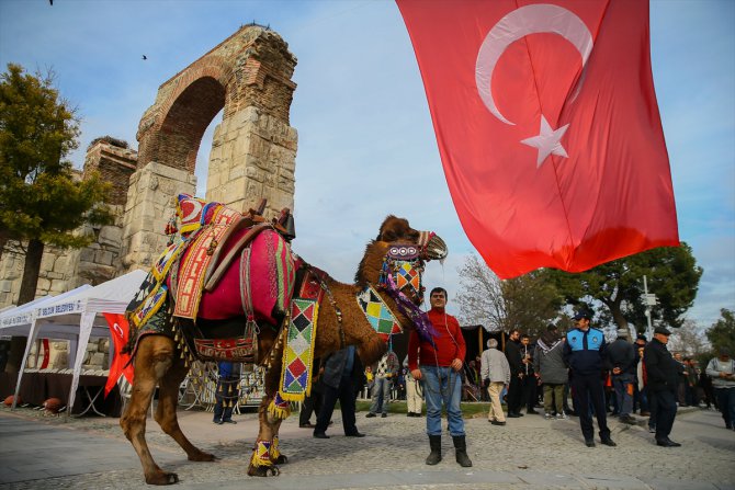 İzmir'de "en güzel deve" seçildi