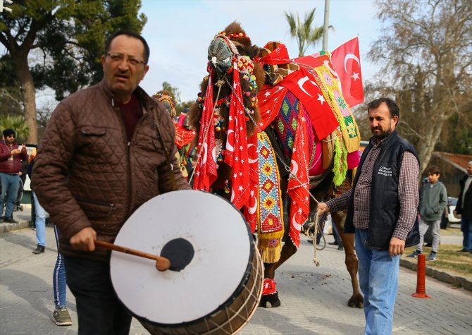 İzmir'de "en güzel deve" seçildi