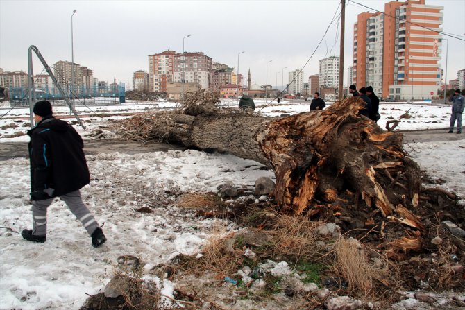 Kayseri'de devrilen ağacın altında kalan kişi öldü