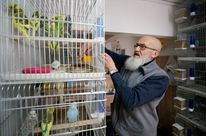 Hayvansever terzi 150 kuşunu çocuklarına vasiyet etti