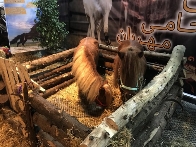 İran Atları Festivali