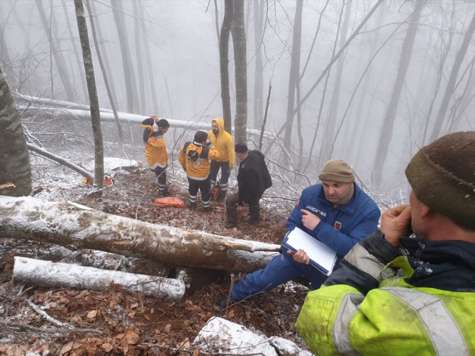 Kesilen ağacın çarptığı orman işçisi hayatını kaybetti