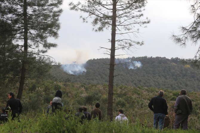 GÜNCELLEME- İstanbul'da orman yangını