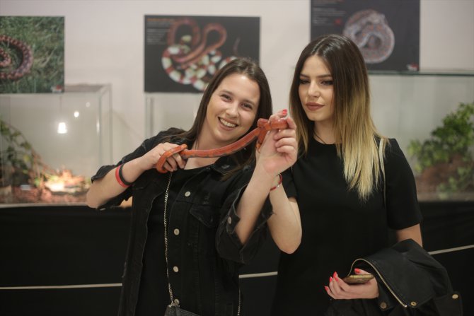 "En zehirli yılanlar" Zagreb'de sergilendi