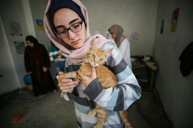 Gazze'de sokak kedileri emin ellerde