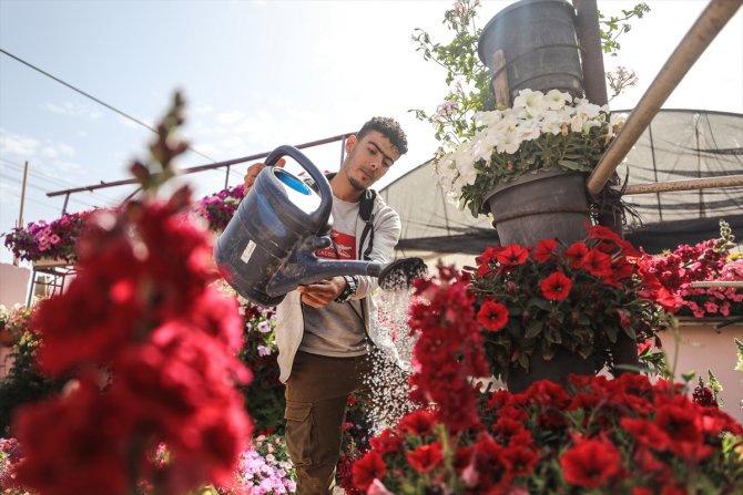 Gazze'nin çiçek açan yüzü fidanlıklar