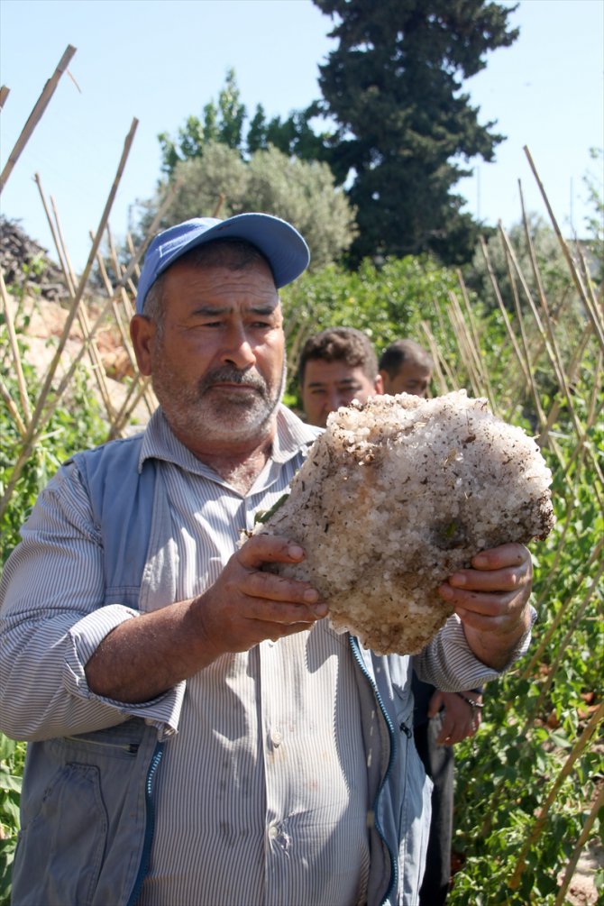 Mersin'de dolu tarım alanlarına zarar verdi