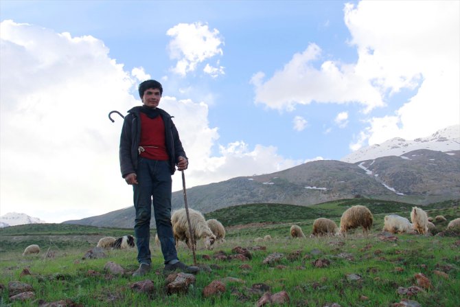 Çobanların ilkbahardaki zorlu mesaisi