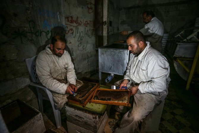 Gazze'de peteklerden şişelere balın yolculuğu