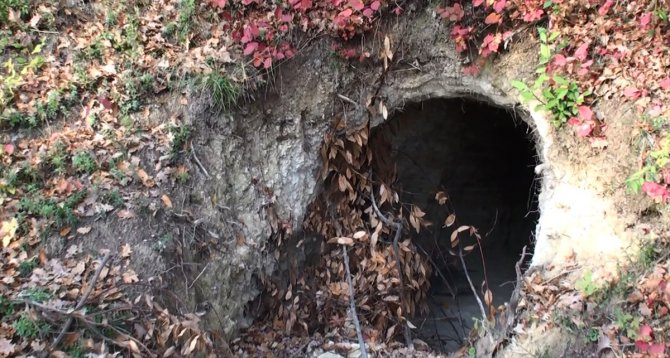 Bartın'da 20 metrelik "define tüneli" bulundu