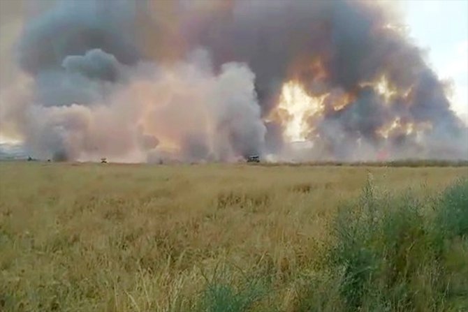 Elazığ'da 500 dönüm ekili tarla yandı