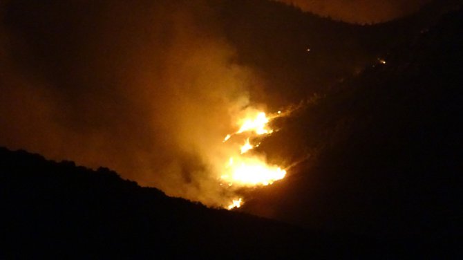 Adana'daki orman yangını
