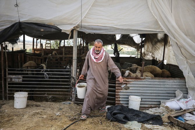 Gazze'de hayvan gübresinden biyogaz üretiyorlar