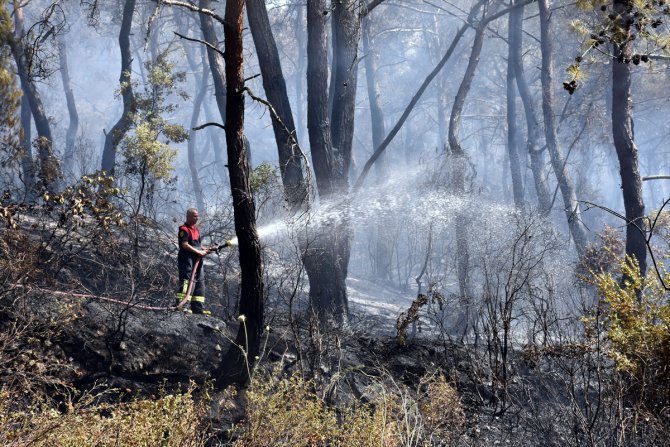 GÜNCELLEME - Bodrum'da orman yangını
