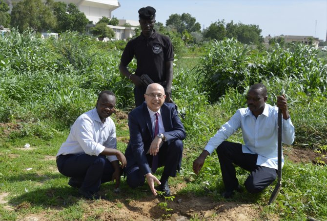 Çad'da 15 Temmuz şehitleri anısına ağaçlandırma projesi