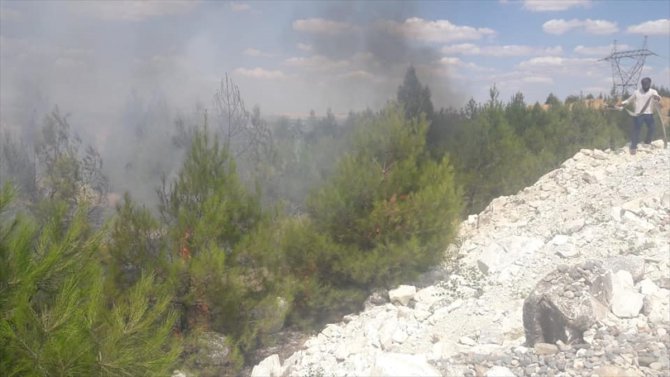Gaziantep'te ormanlık alanda yangın