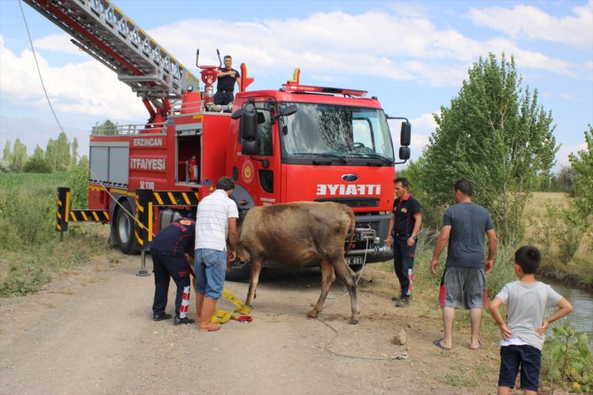 Su kanalına düşen ineği itfaiye ekipleri kurtardı