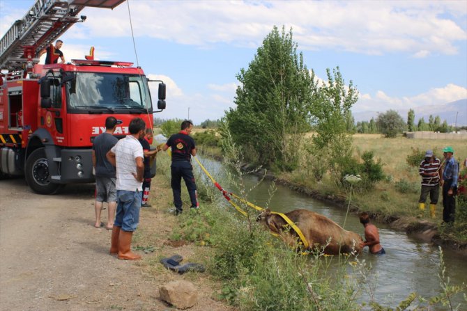 Su kanalına düşen ineği itfaiye ekipleri kurtardı