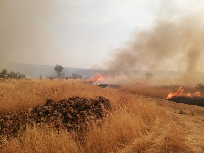 Mardin'deki orman yangını