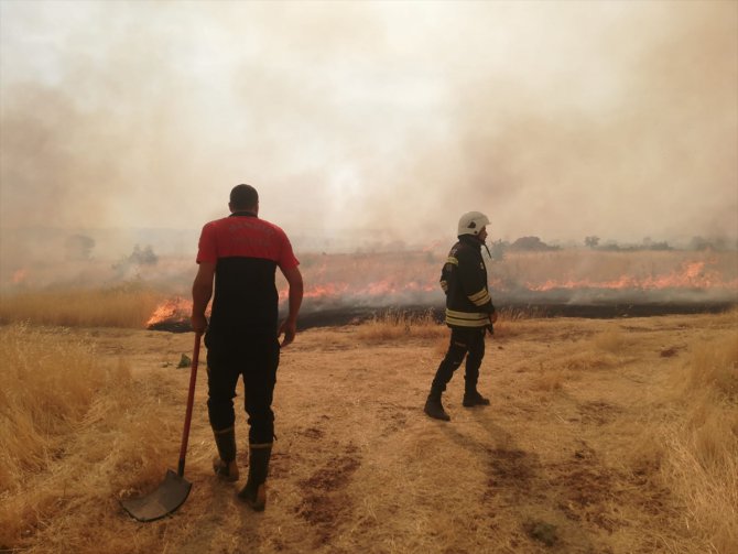 Mardin'deki orman yangını