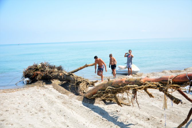 Akçakoca'da selde denize sürüklenen ağaç parçaları temizleniyor