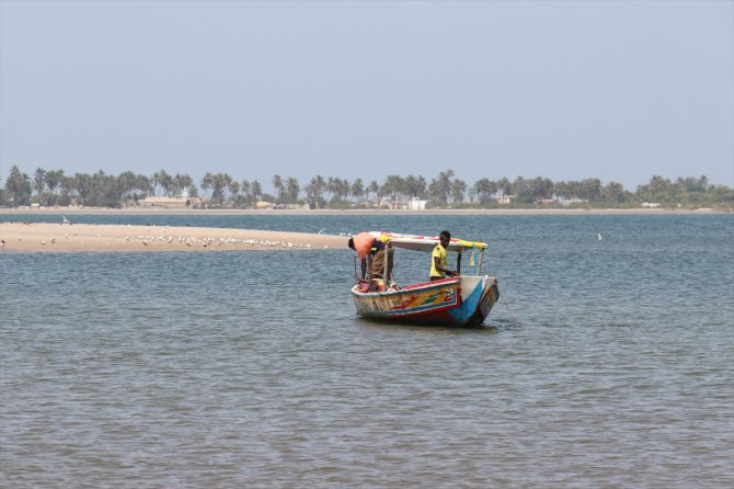 Senegal'in okyanus kıyısındaki kutsal adası Sangomar