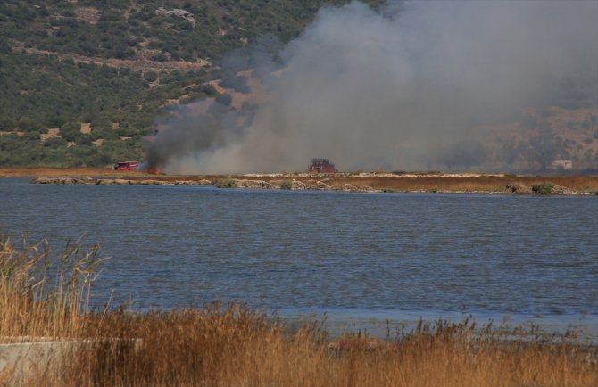 Tuzla Sulak Alanı'nda yangın