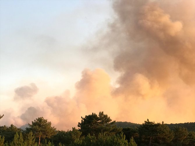 GÜNCELLEME - Eskişehir'de orman yangını
