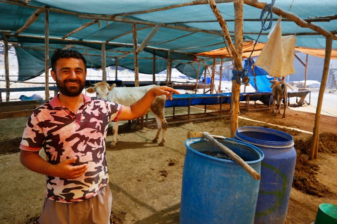 İzmir'de kurbanlıklarını satanlar memleketlerine dönüyor