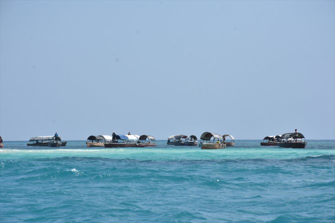 Zanzibar'ın kaplumbağa adası: Changuu