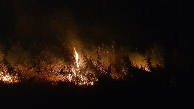 Edremit'te sazlık alanda çıkan yangın söndürüldü