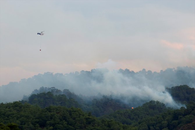 GÜNCELLEME 2 - Muğla'da orman yangını