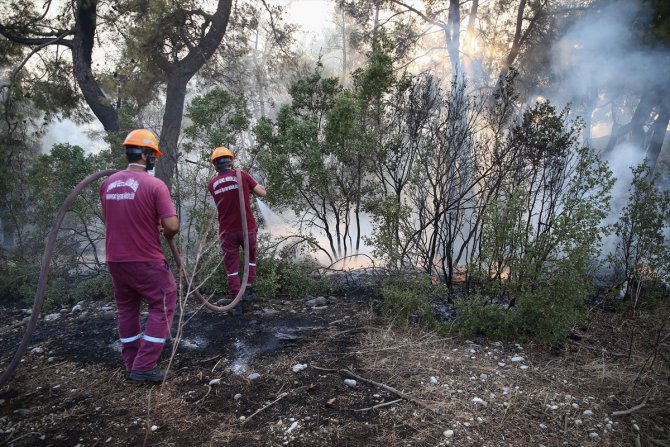 GÜNCELLEME - Antalya'da orman yangını