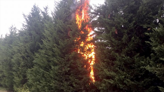 Ataşehir TEM bağlantı yolundaki ağaçlık alanda yangın