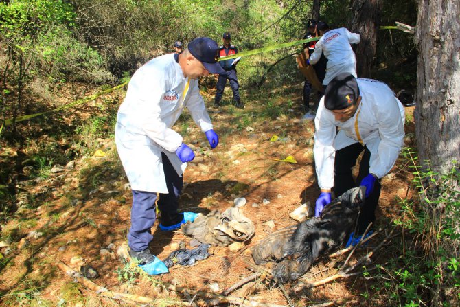 Muğla'da kayıp kişinin cesedi bulundu