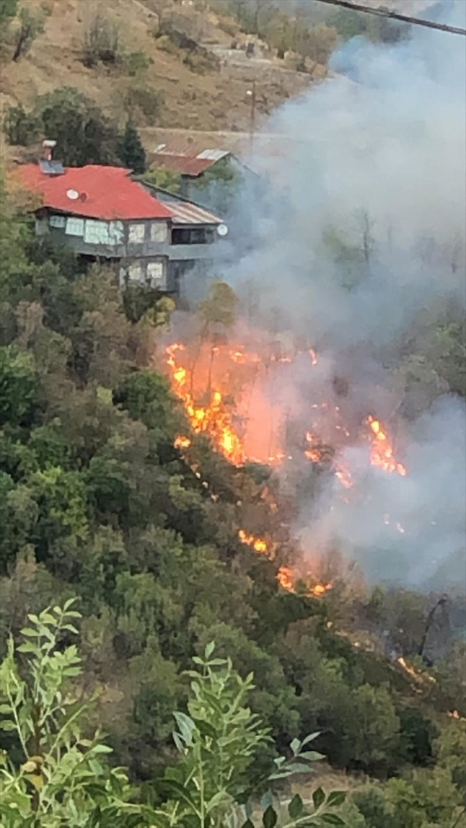 Erzincan'da ot yangını