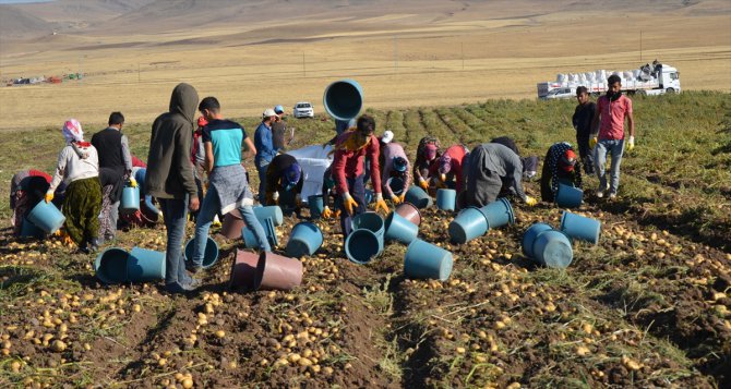 Tarım işçilerinin "ekmek" mücadelesi