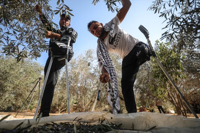 İsrail'in sakat bıraktığı Filistinlilere uzanan "zeytin dalı"