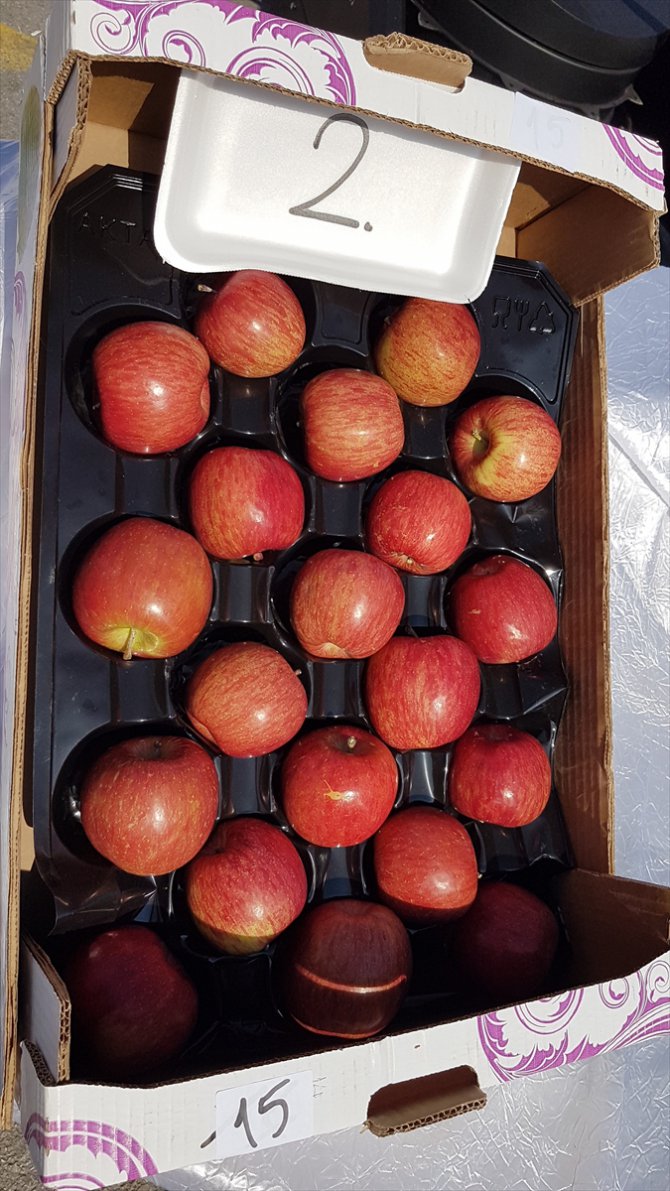 Niğde'de "en iyi elma" yarışması düzenlendi