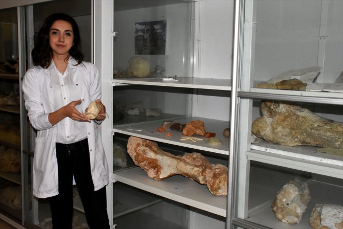 Kırşehir'de bulunan milyon yıllık fosiller dünya literatürüne kazandırılacak