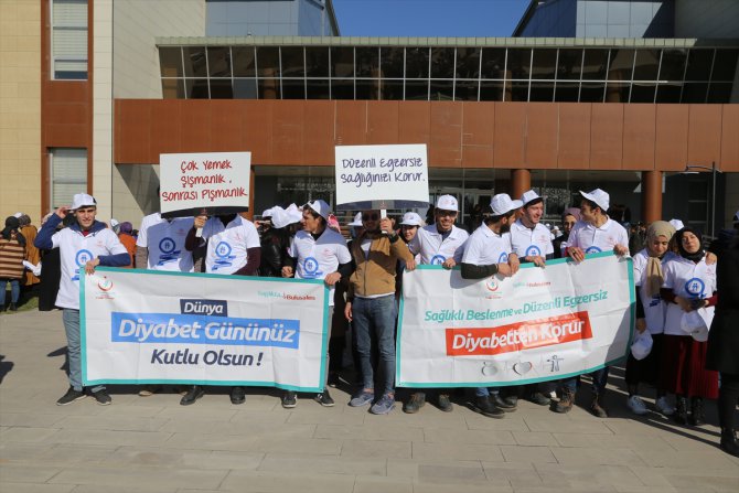 Erzurum'da öğrenciler ve sağlıkçılar diyabete dikkati çekmek için yürüdü