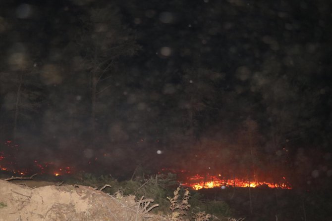 GÜNCELLEME - Hatay'daki orman yangını kontrol altına alındı