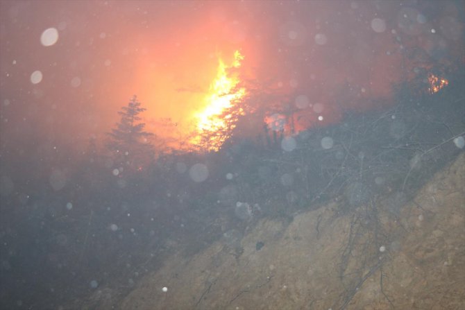 GÜNCELLEME - Hatay'daki orman yangını kontrol altına alındı