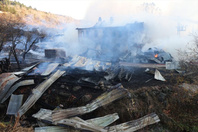 Bolu'da bir köyde 4 ev, 6 samanlık, bir ahır yandı