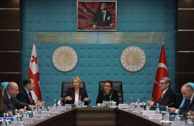 Türkiye-Gürcistan KEK kapanış toplantısı