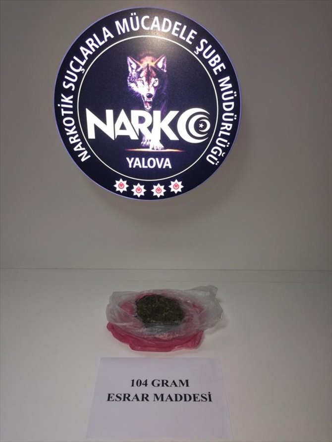 Yalova'da uyuşturucu operasyonunda 192 şüpheli gözaltına alındı
